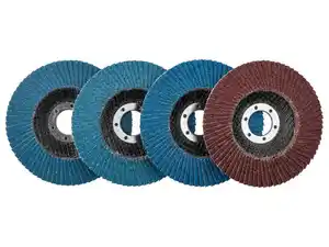 PARKSIDE® Fächerscheiben-Set / Klettschleifteller mit Schleifpapier-Set / Reinigungsscheibe / Schruppscheiben-Set, Ø 125 mm