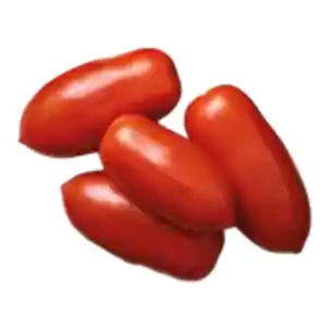 San Marzano Tomaten