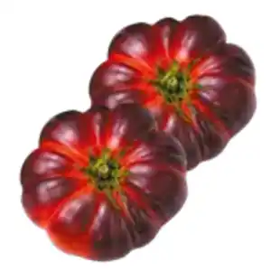 Tomaten Violett