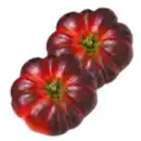 Bild 1 von Tomaten Violett
