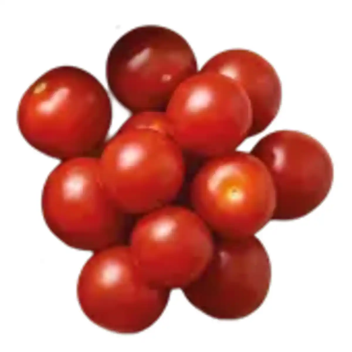 Bild 1 von Cherrytomaten Miss Perfect rot