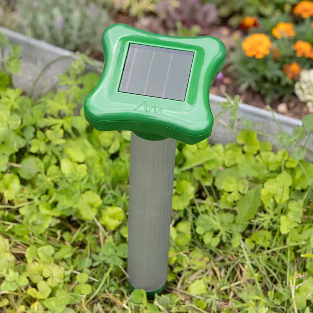 Bild 1 von Gardigo Solar-Ameisenabwehr
