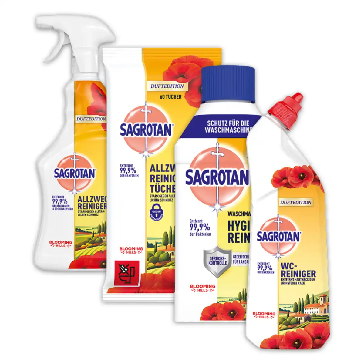 Bild 1 von Sagrotan Reiniger