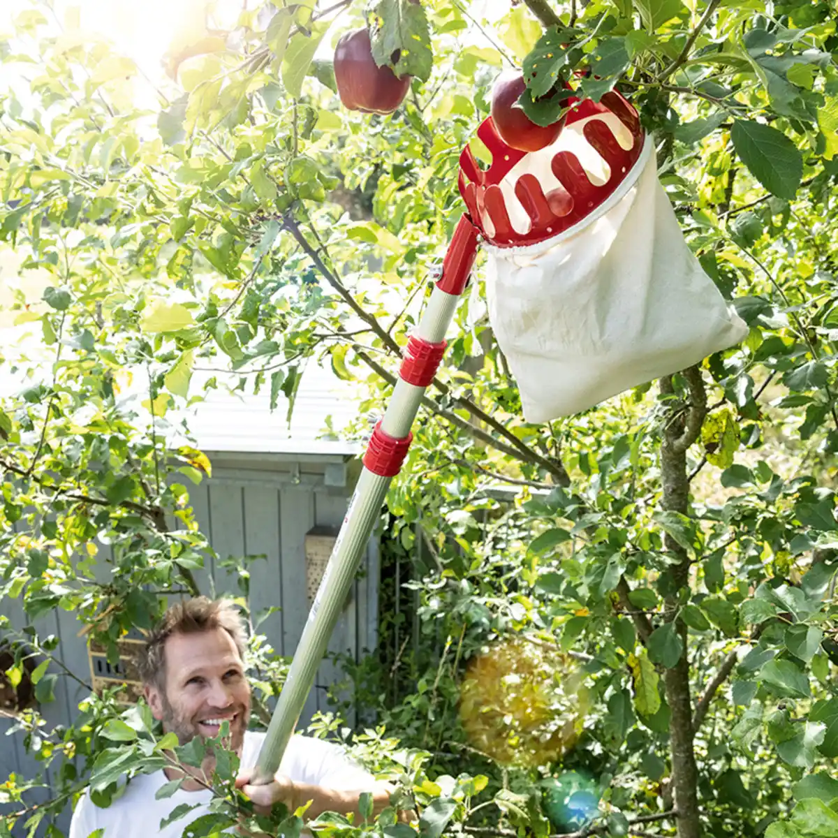 Bild 1 von Powertec Garden Teleskop-Obstpflücker