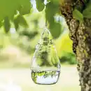 Bild 1 von Gardigo Fliegen-frei-Glas