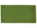 Bild 2 von LIVARNO® Premium-Kunstrasen, 100 x 200 cm
