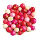 Bild 1 von Radieschen-Mix