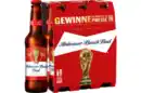 Bild 1 von Anheuser-Busch Bud Bier