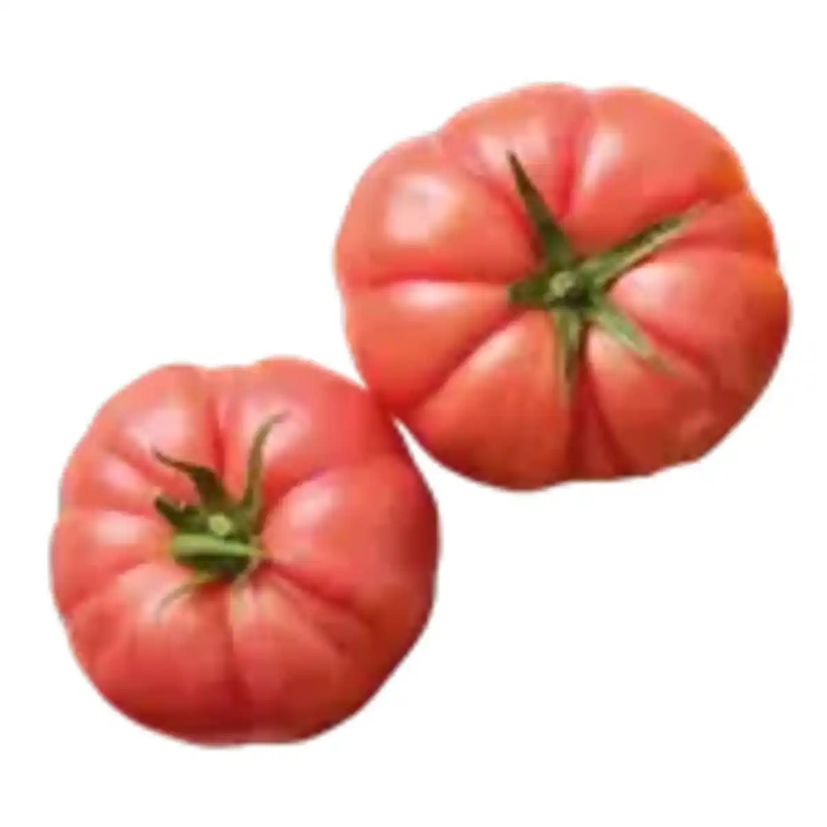Bild 1 von Tomaten rosa