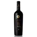 Bild 1 von Appassimento Puglia IGP 0,75l
