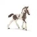 Bild 1 von schleich® - FARM LIFE - Tinker Fohlen - Spielfigur - 13774