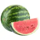 Bild 1 von Türkei/Griechenland Riesenwassermelone