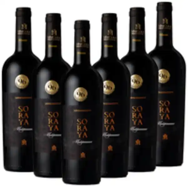 Bild 2 von Appassimento Puglia IGP 0,75l