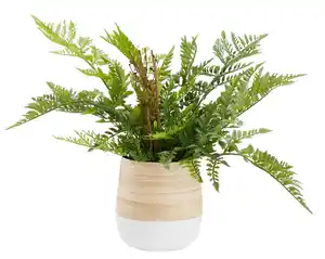 Übertopf Naturelle Ø ca. 12cm, Naturfarben, Weiß