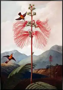 Bild Elena ca. 70x100cm, Multicolor