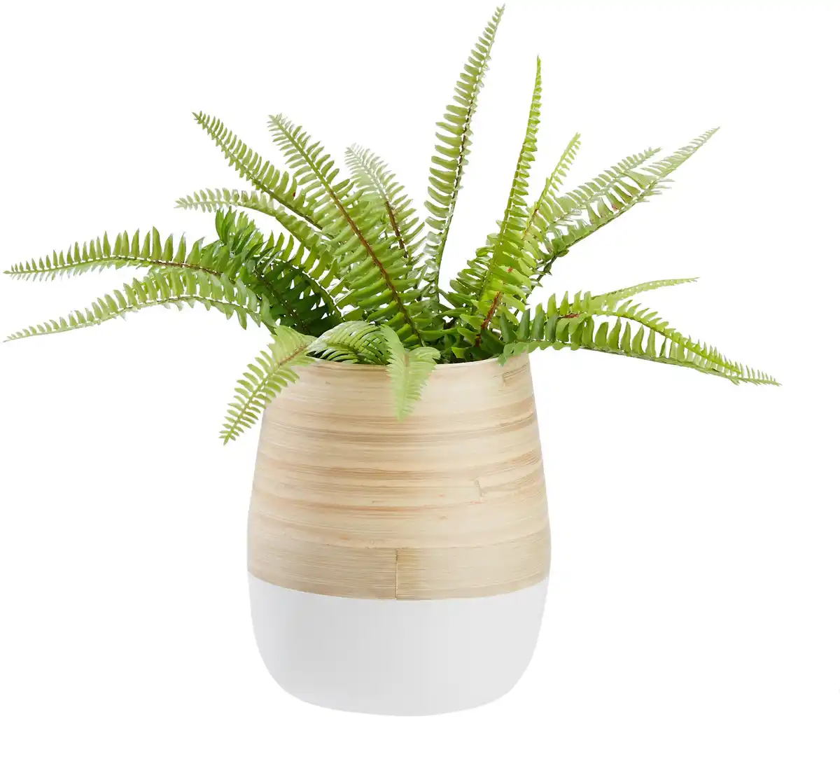 Bild 1 von Übertopf Naturelle Ø ca. 16cm, Naturfarben, Weiß