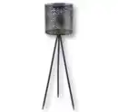 Bild 1 von LED-Solar-Laterne