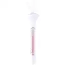 Bild 1 von Pool-Thermometer °C/°F Anzeige 19 cm schwimmend