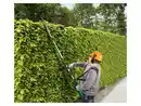 Bild 2 von PARKSIDE® Langstiel-Heckenschere »PEHSL 800 A1«