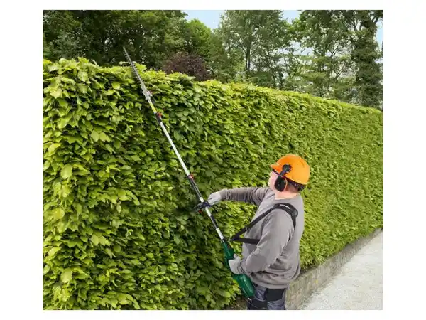 Bild 2 von PARKSIDE® Langstiel-Heckenschere »PEHSL 800 A1«