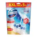 Bild 2 von DOMESTOS WC-Steine Power 5 XXL