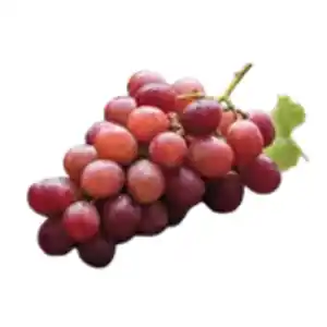 Trauben rot