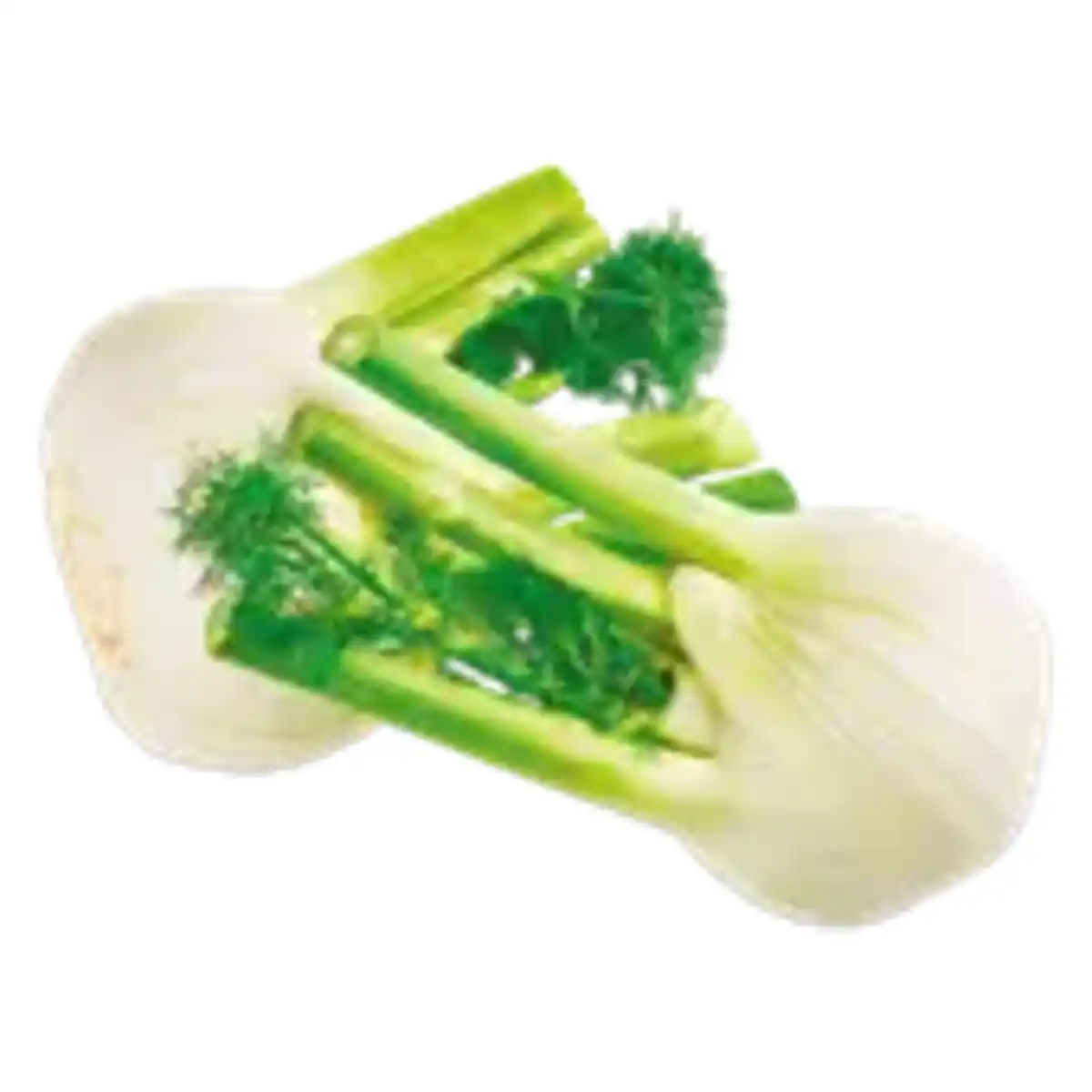 Bild 1 von GO Regio Deutscher Fenchel
