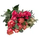 Bild 1 von Rosen mit Eukalyptus