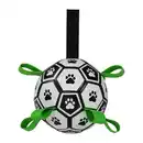 Bild 2 von ROMEO Interaktiver Hunde-Spielball