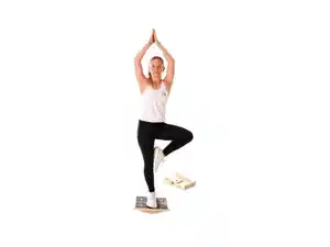 F2 Step-on-Board