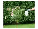 Bild 2 von PARKSIDE® Drucksprüher