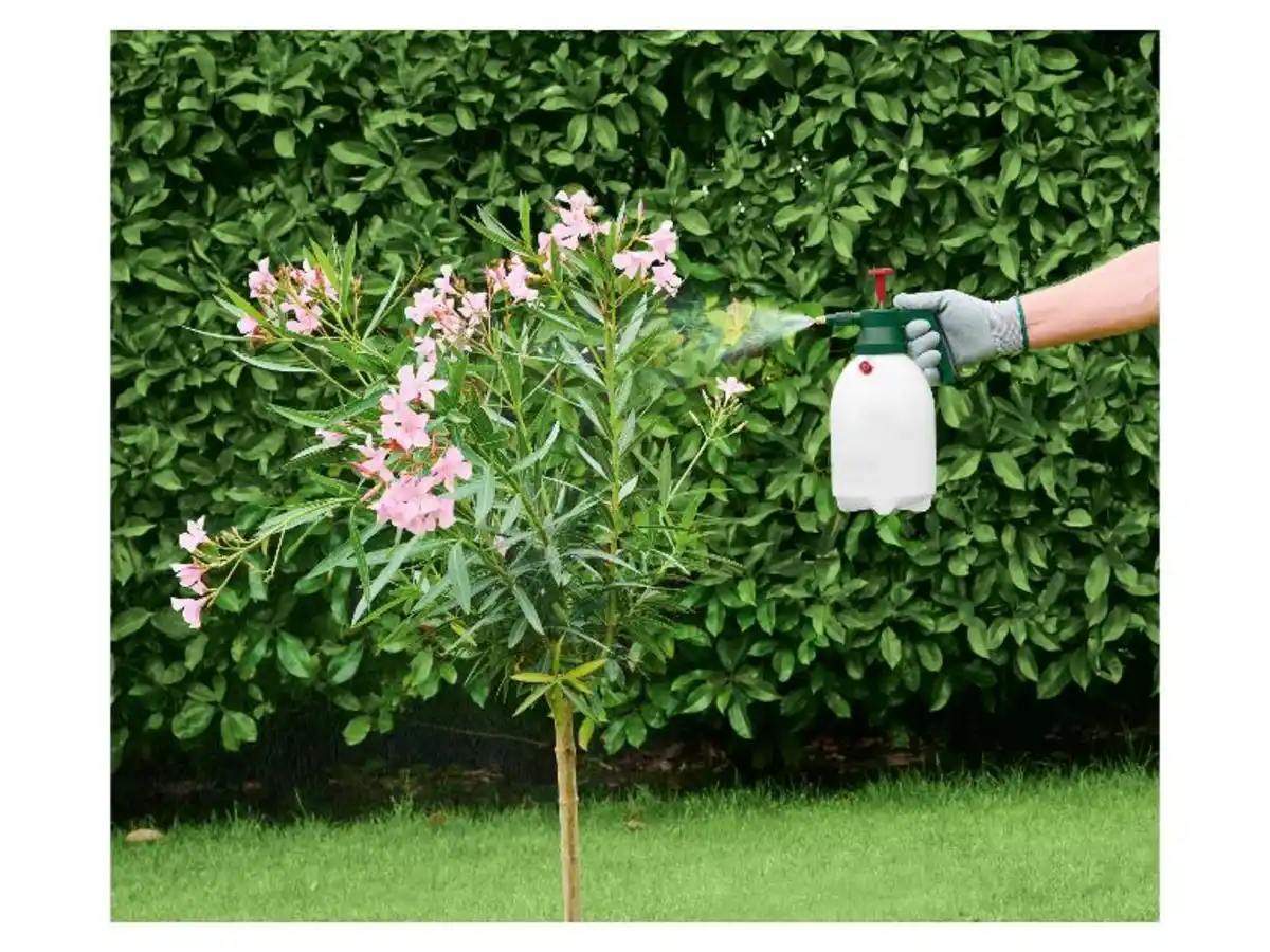 Bild 2 von PARKSIDE® Drucksprüher