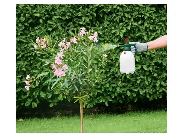 Bild 2 von PARKSIDE® Drucksprüher