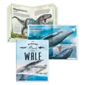 Trötsch Das große Wissensbuch