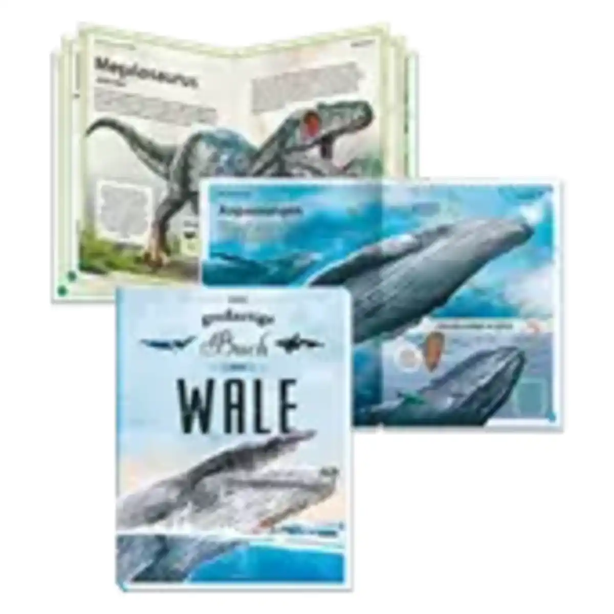 Bild 1 von Trötsch Das große Wissensbuch