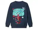 Bild 1 von LUPILU® Kinder Sweatpullover
