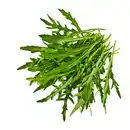 Bild 1 von Rucola