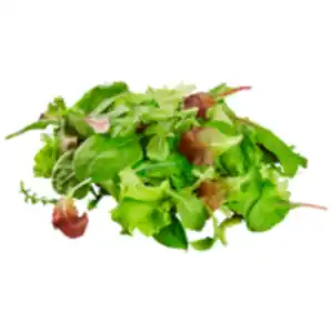 Wildkräuter Salat