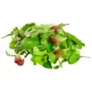 Bild 1 von Wildkräuter Salat