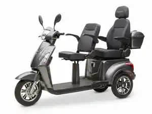 E-Seniorenmobil Billy 2.0, Lithium-Akku, 3-Rad, 1000 Watt, Komfort-Sitz, Grau