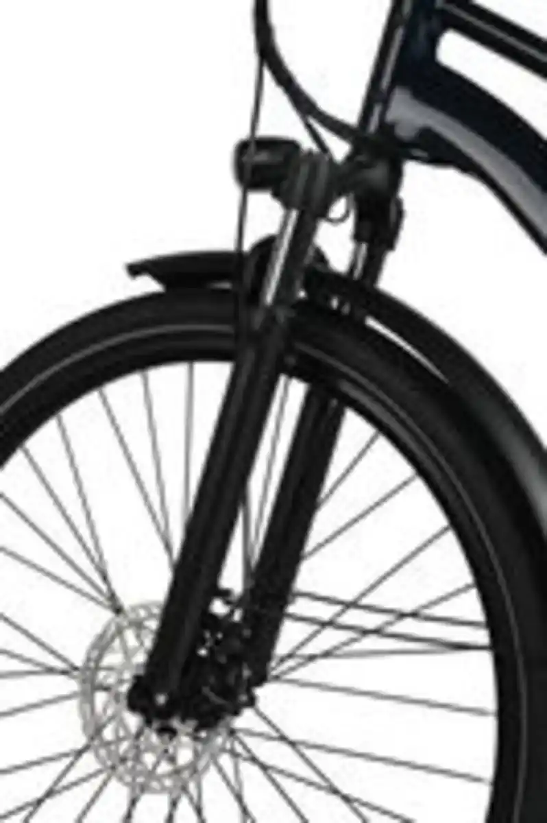 Bild 3 von Maxtron Urban 7,City E-Bike, HR-Nabenmotor,SHIMANO ALTUS 7-Gänge,mech.Scheibenbremse,dunkelblau