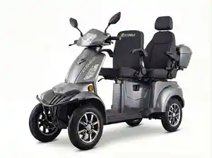 E-Seniorenmobil Vista Quarter-1L, Lithium-Akku, 4-Rad, 1000W, Komfort Sitz, Grau