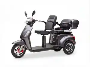 E-Seniorenmobil Billy 2.0, Blei-Akku, 3-Rad, 1000 Watt, Grau