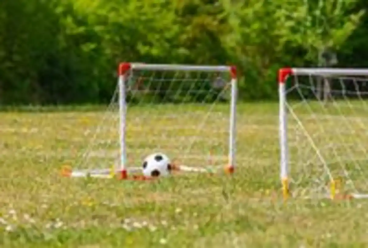 Bild 2 von Doppel Fußballtor-Set 2er 85x 42x 60cm