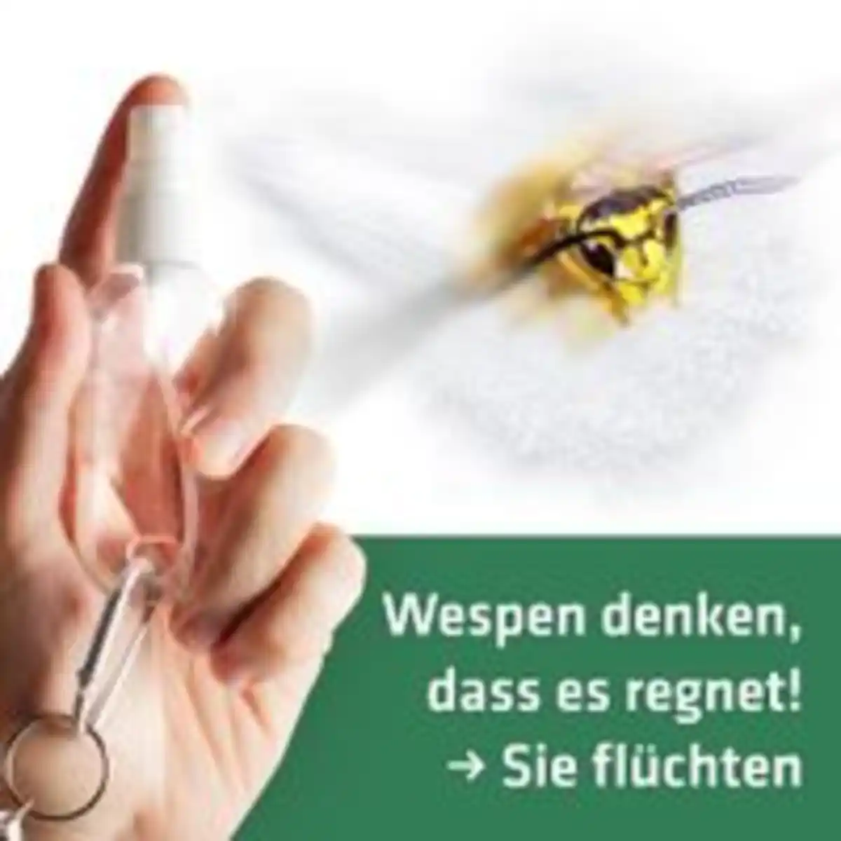Bild 3 von Gardigo Wespen-Wehr-Set