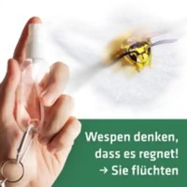 Bild 3 von Gardigo Wespen-Wehr-Set
