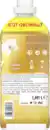 Bild 2 von Lenor Weichspüler Konzentrat Goldene Orchidee Großpackung 71WL, 71 WL