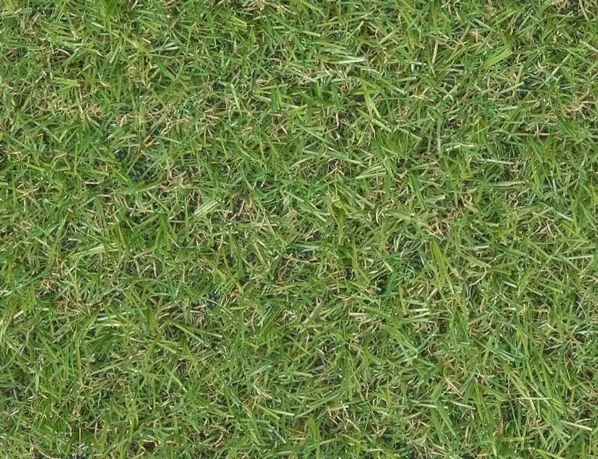Bild 1 von Kunstrasen Ivy Grün