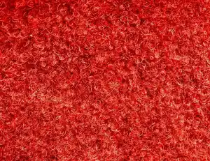 Kunstrasen Sunny Rot