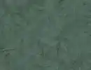 Bild 1 von Vliestapete Tropical Blätter Dunkelgrün